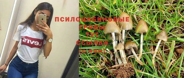 мдпв Верея