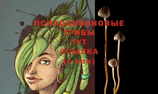 мдпв Верея
