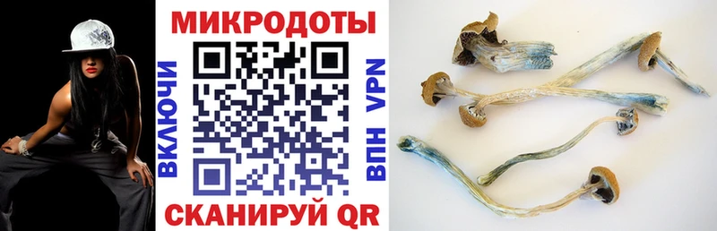 Галлюциногенные грибы Magic Shrooms  Купить где  Юхнов 
